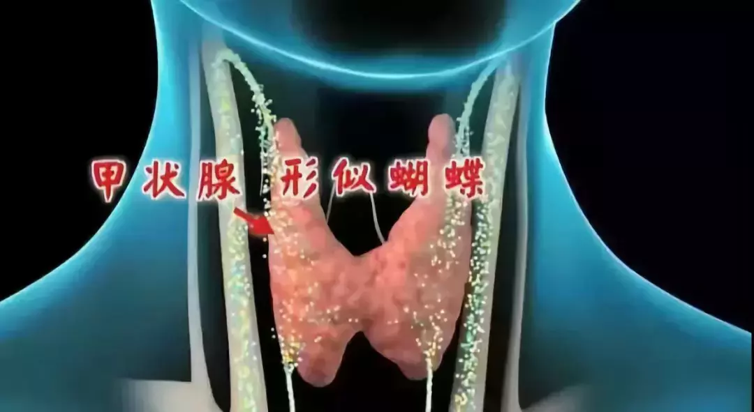 甲亢、甲减、甲状腺结节怎么办?三分钟看懂报告,预防治疗更轻松