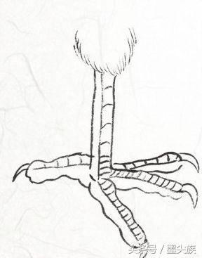 常见的沥粉法,勾填法,勾染法,此外还有直接用墨线或者色笔勾勒的勾勒