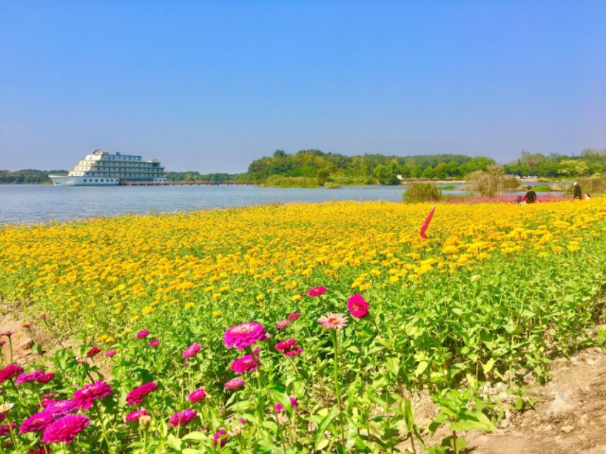 2018年高考英语优秀作文范文！