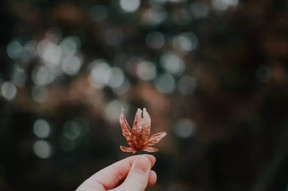 警醒人的句子，精辟句子，写进心窝的短句，有哲理的短句，名言