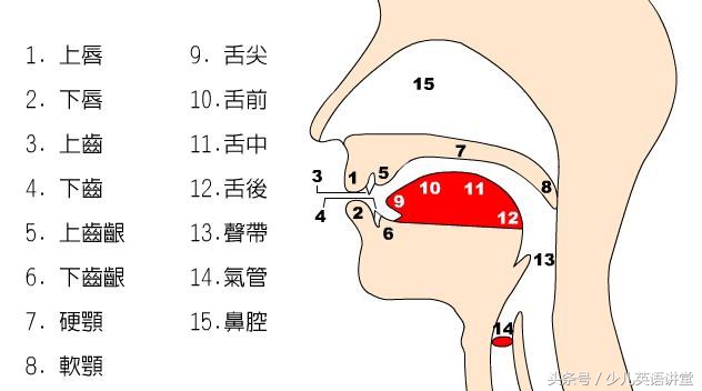 小学英语音标发音+音节分类汇总，太全了！