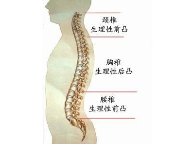 腰椎影像学报告单，你看懂了吗？