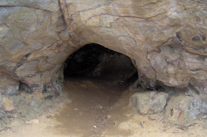 黑熊进洞,棕熊上山,大公棕熊可安睡