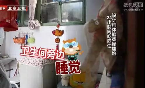 一家3口挤20平老房，树长在房中央，设计师爆改后秒变洋房，真牛