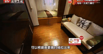 一家3口挤20平老房，树长在房中央，设计师爆改后秒变洋房，真牛
