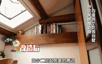 一家3口挤20平老房，树长在房中央，设计师爆改后秒变洋房，真牛