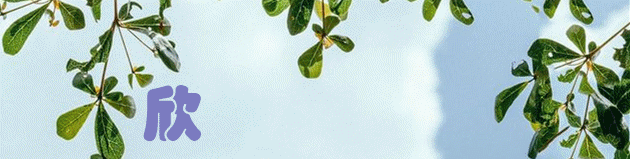 欣晴：大学生心理问题如何调整，给你一个出口找到自我