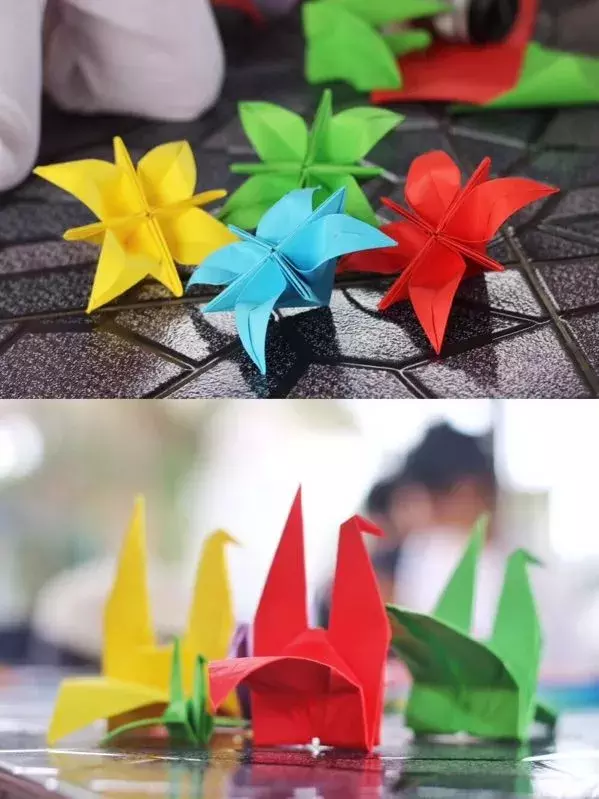 还记得那个平均绩点3.95的寝室吗？这次，她们又保研了牛校……