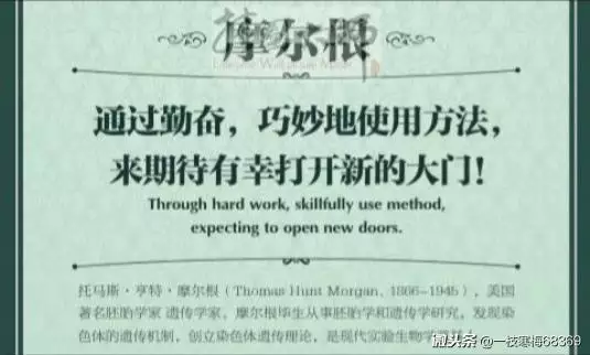 初中英语语法：感叹句中感叹词的用法与造句技巧