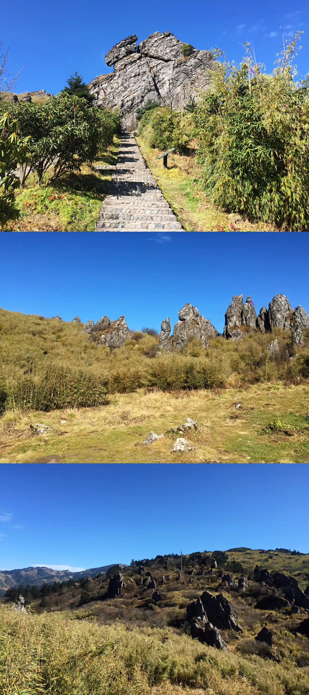 胜似人间仙境｜探索野人之谜，“神农架”游玩攻略新鲜出炉！