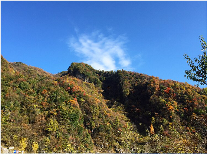 胜似人间仙境｜探索野人之谜，“神农架”游玩攻略新鲜出炉！