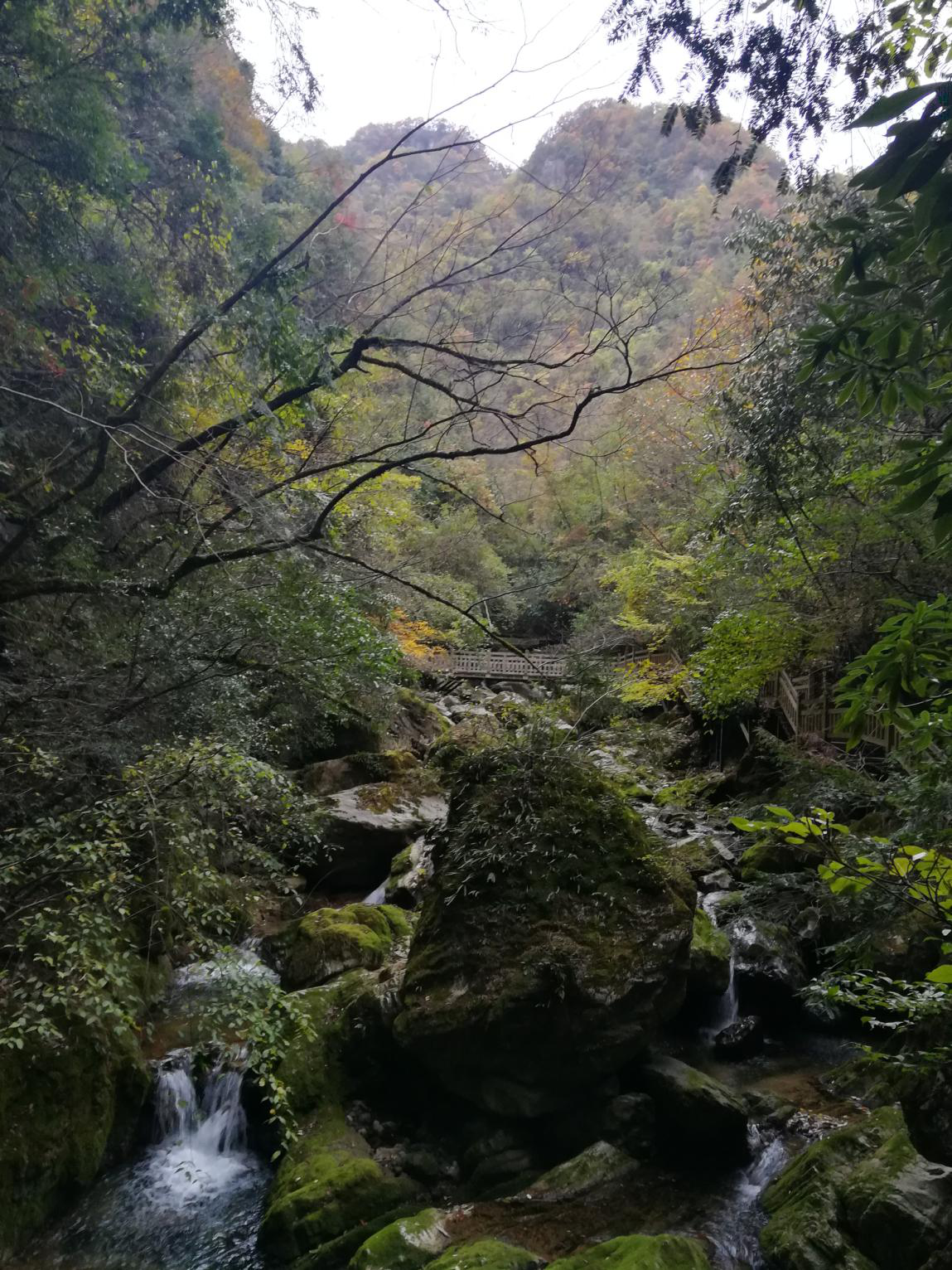 胜似人间仙境｜探索野人之谜，“神农架”游玩攻略新鲜出炉！