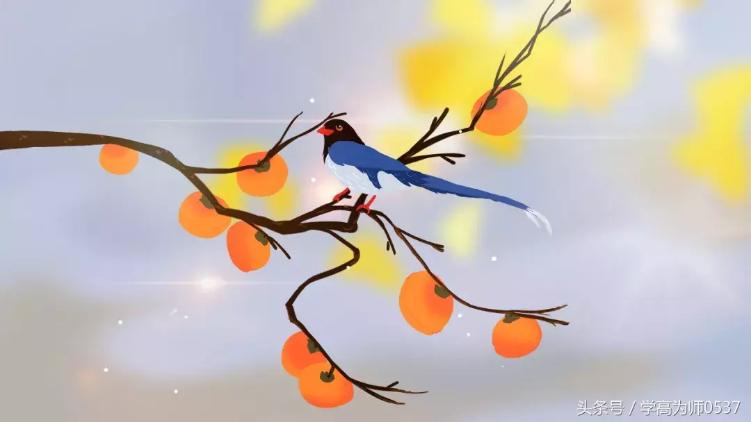 小学语文常用修辞手法详解+例句！（内附阅读理解训练题）