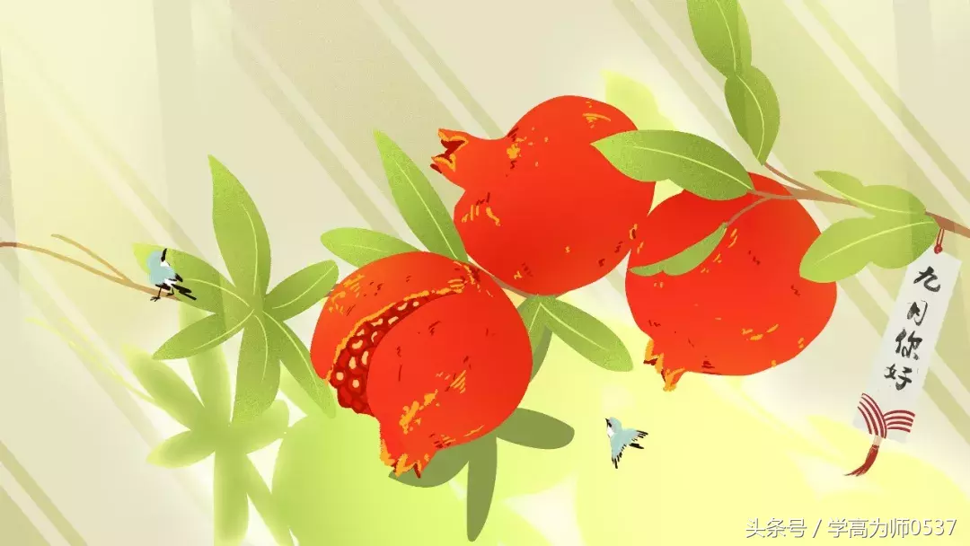 小学语文常用修辞手法详解+例句！（内附阅读理解训练题）