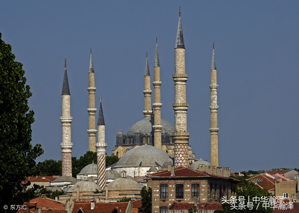 留学党，听听加州大学的推荐意见