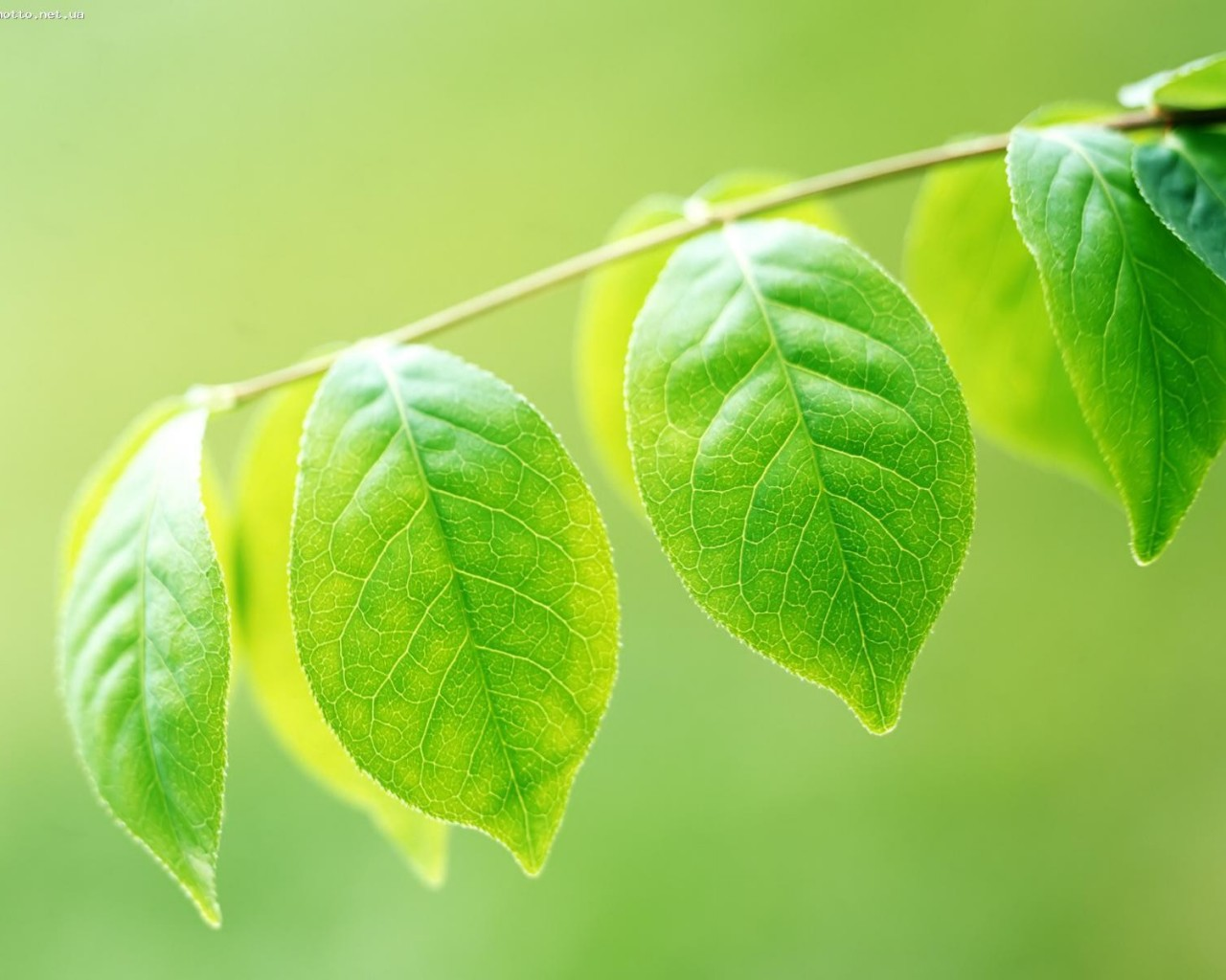 唯美简短的经典英文句子