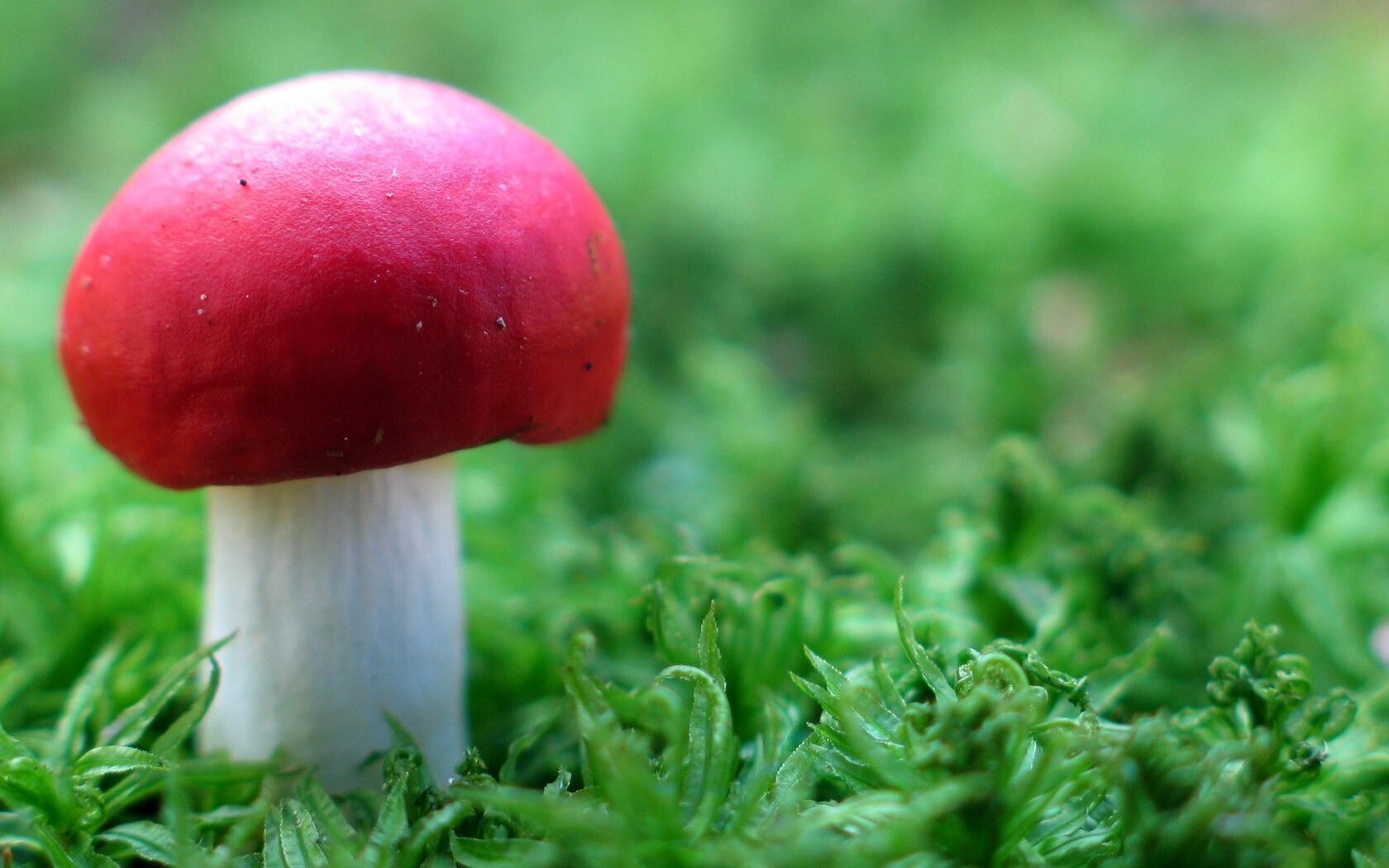 唯美简短的经典英文句子