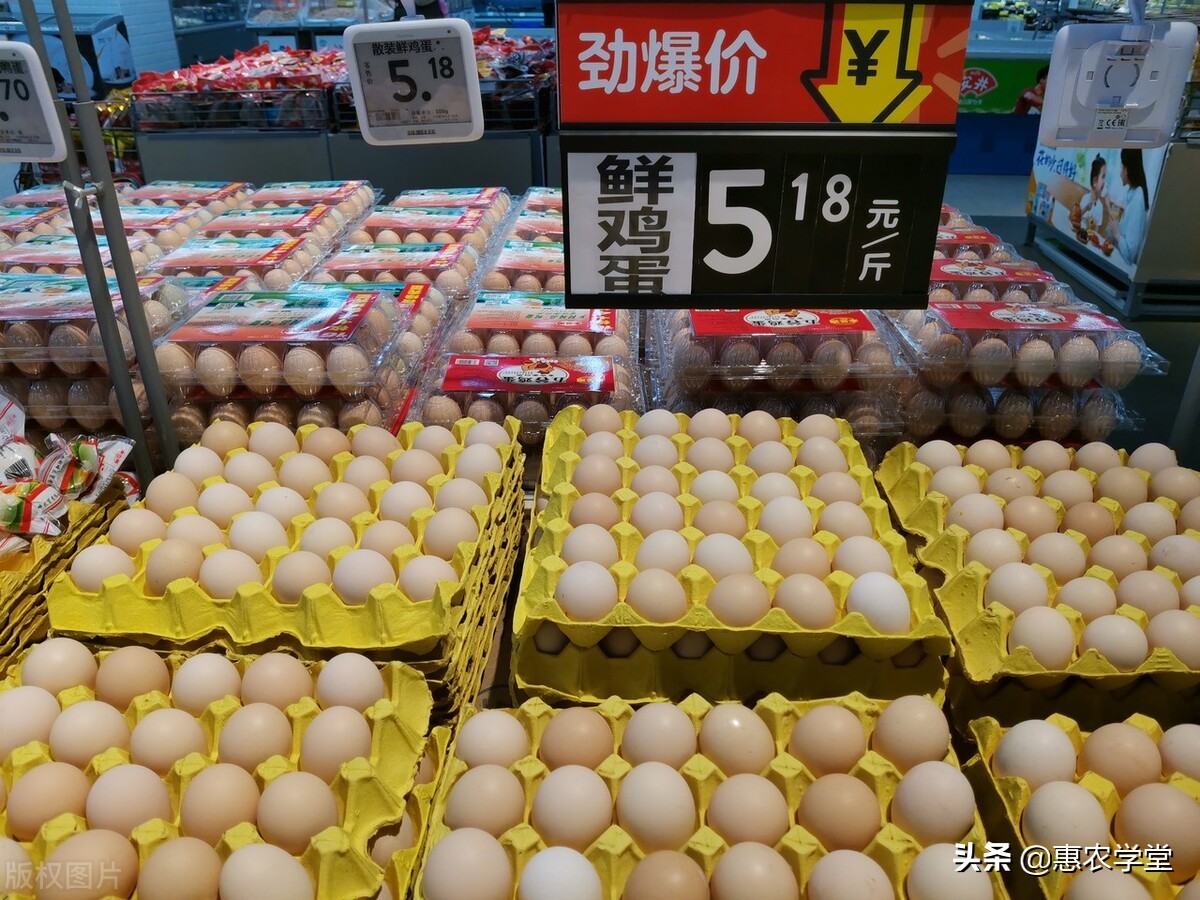 一个鸡蛋多少钱（一个鸡蛋大约多少元）