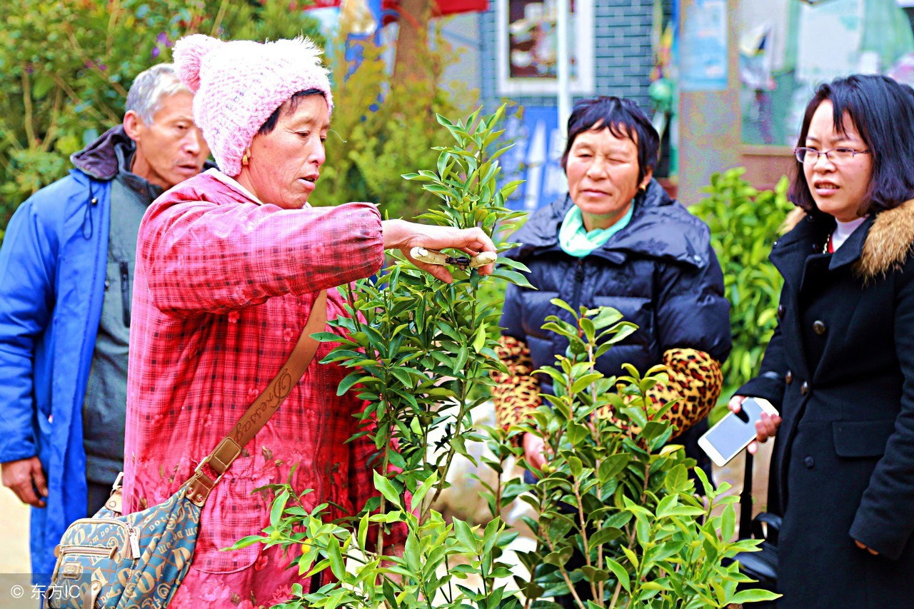 都说菌肥用不起，其实账得这么算……