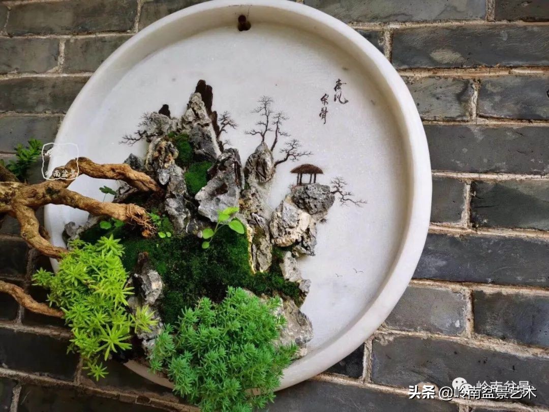 挂壁盆景,妙!_达一风水网