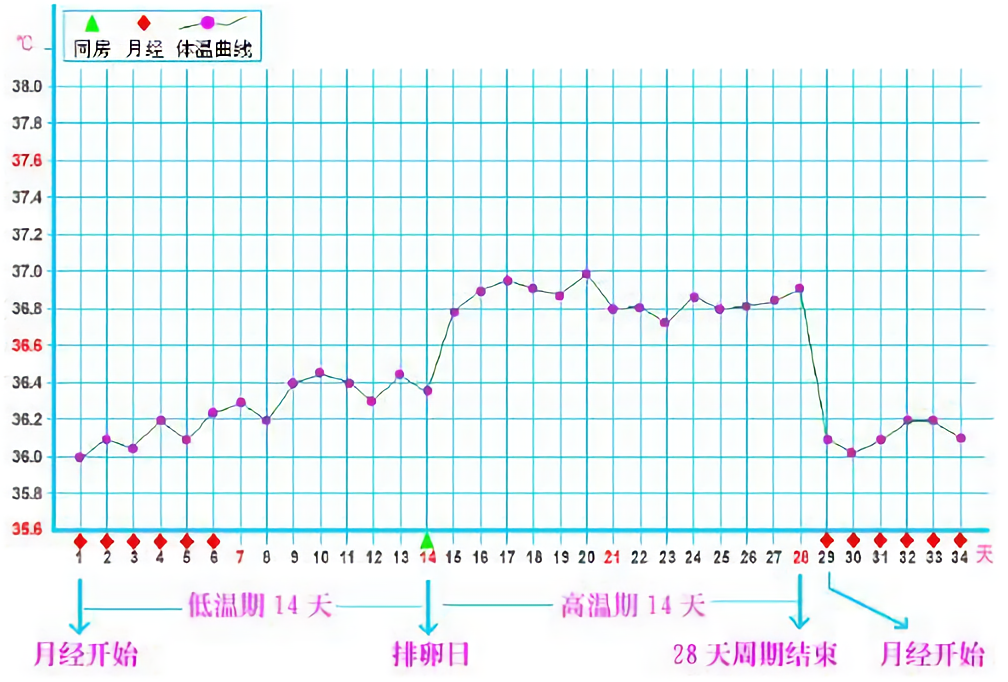 神13号发射在即，同行女宇航员来月经咋办？女航天员有必要存在吗