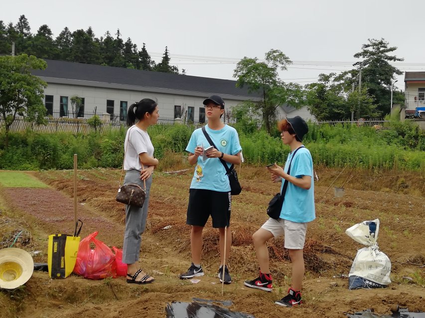 撷菜里山村 悠然见农场--安徽农业大学学子深入里山罗峰农场调研