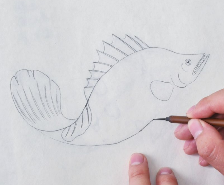 分步骤讲解工笔鳜鱼的基本画法及染色