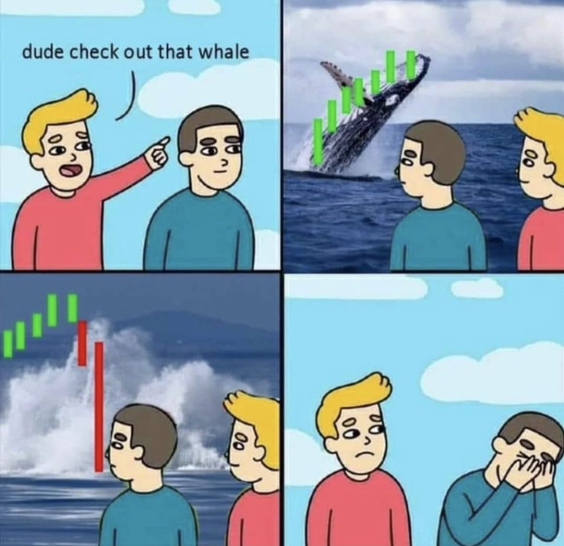 比特币一夜暴跌崩盘！全球最大矿场断电关机，韭菜：都怪中国