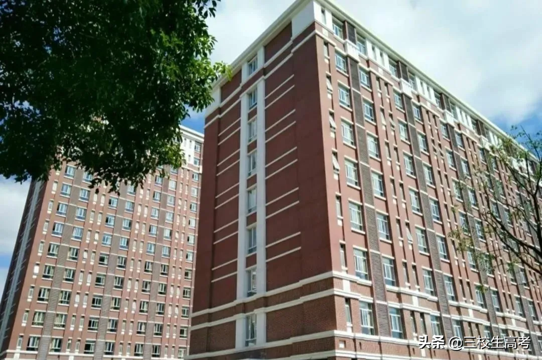 报考上海立达学院专升本，竟然还有免费游学大礼包