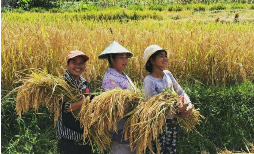 没想到，西北农林科技大学竟然有“两副面孔”
