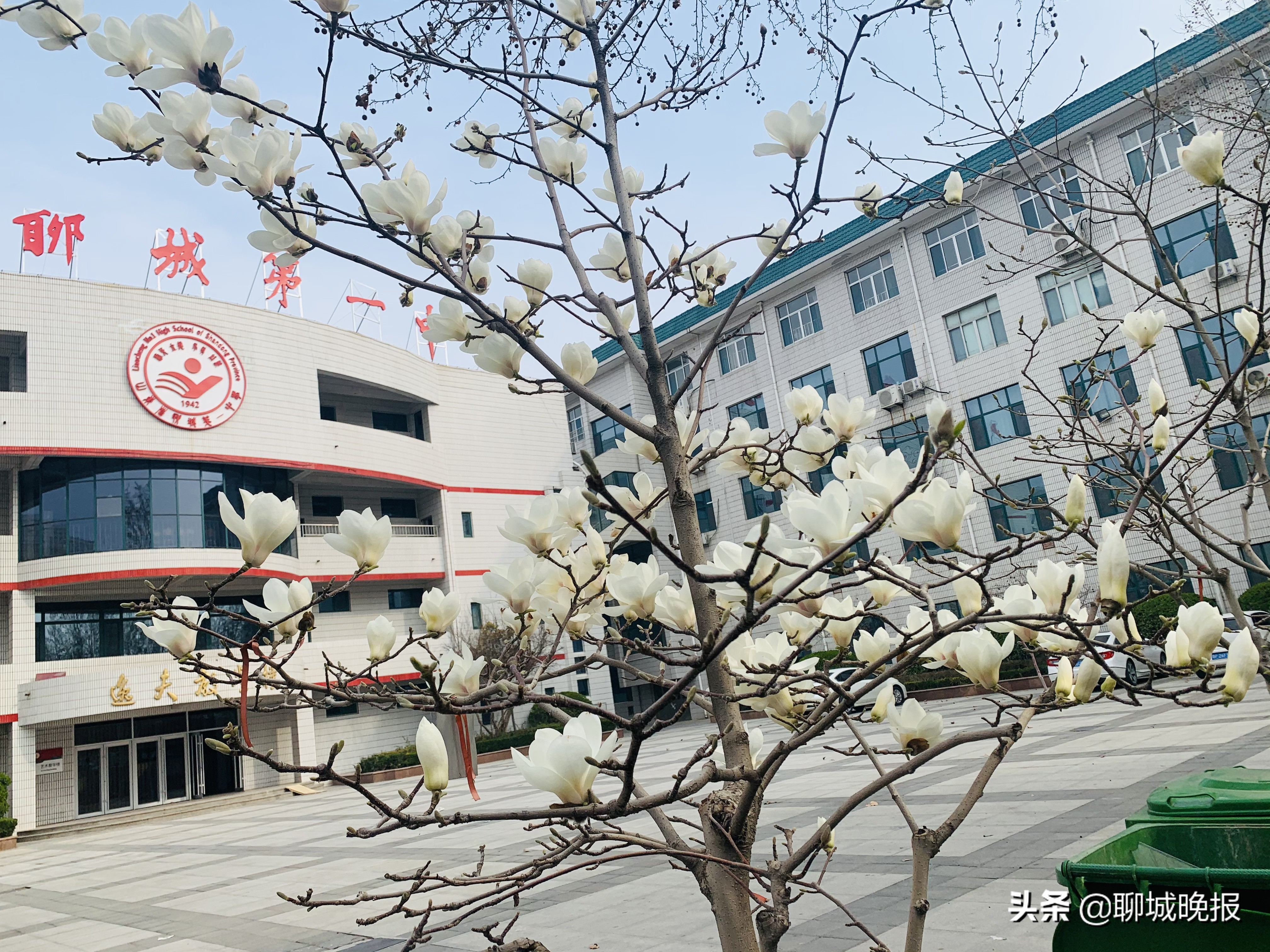 聊城一中，求学乐园：怀壮志以长行 携梦想而凌云