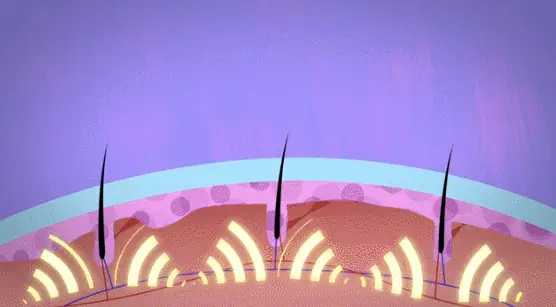 长出来的白发还能变黑吗（白头发怎么改善养出黑发）