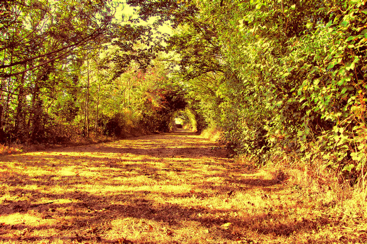 铁岭，为什么是“宇宙的中心？”