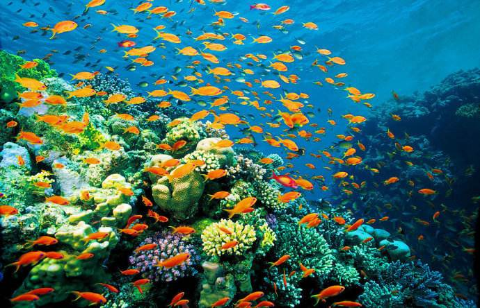 游戏会对人有害吗？