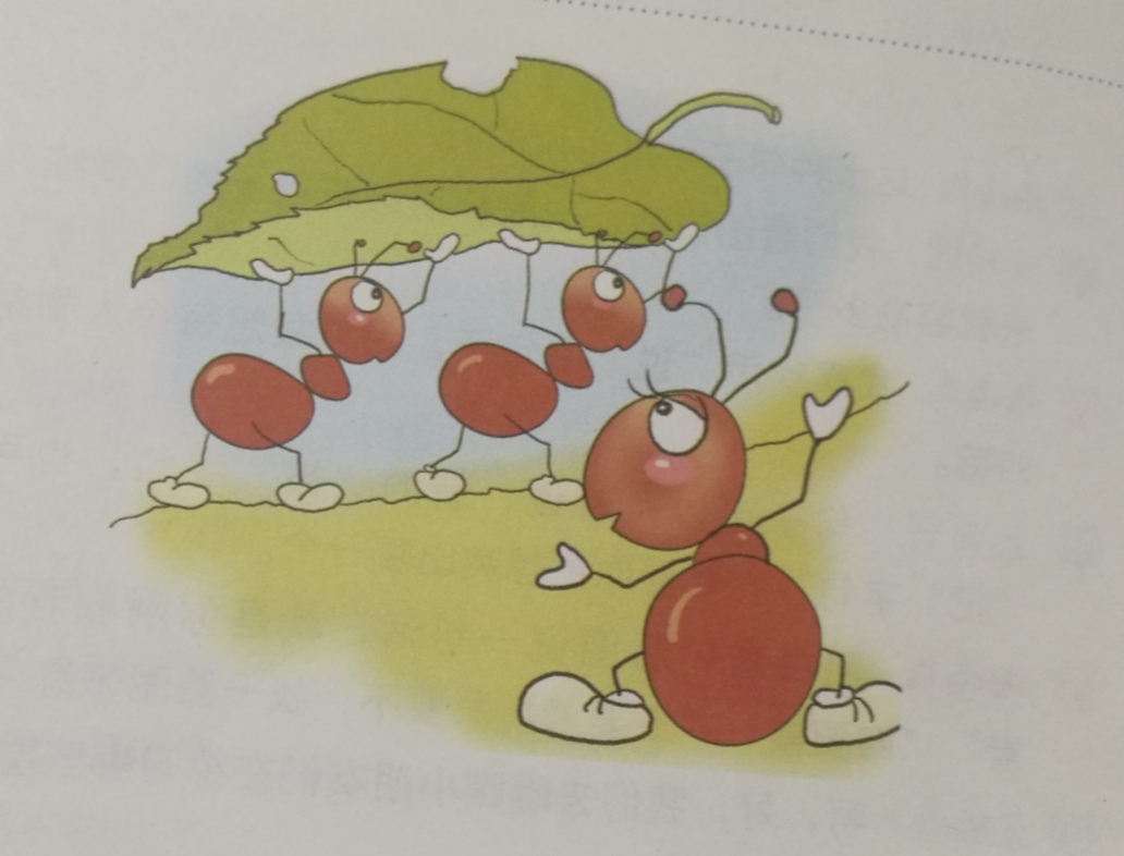 关于蚂蚁和小树叶散文
