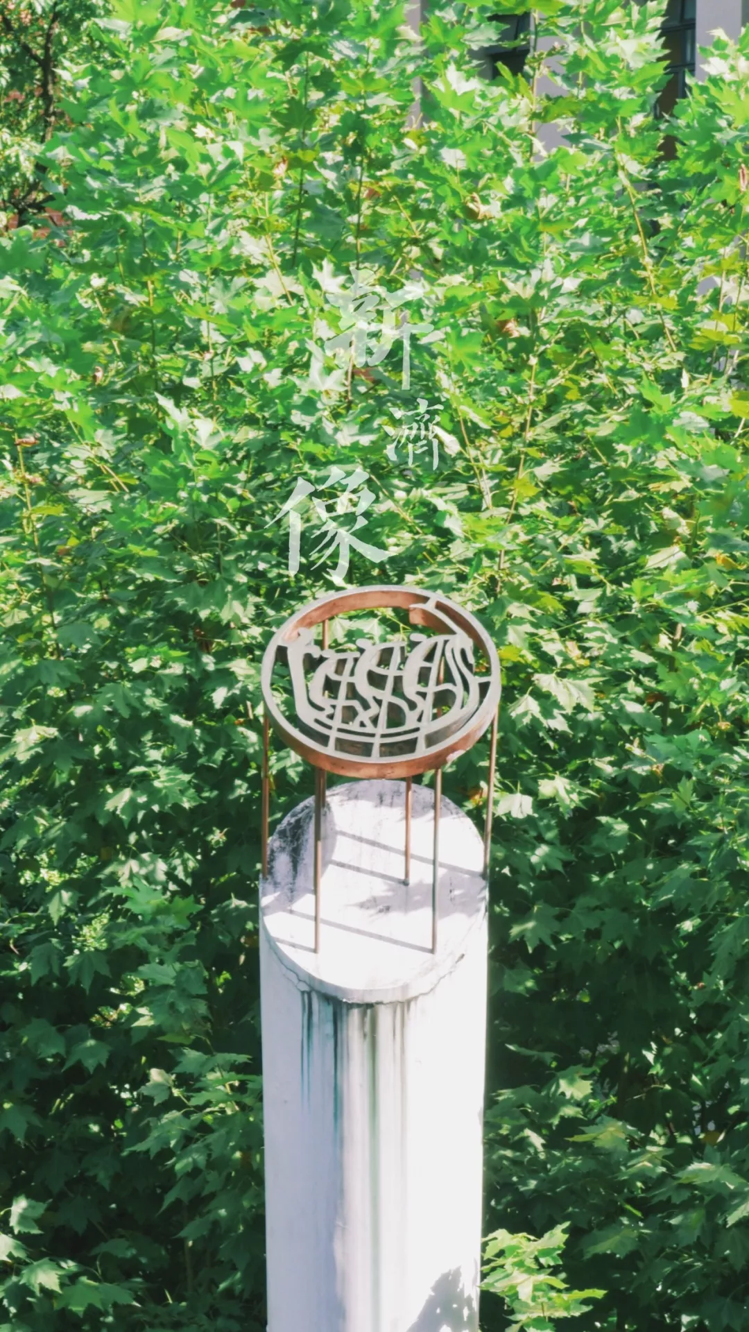 中国这10所大学壁纸第二期！厦门大学、中山大学等在列