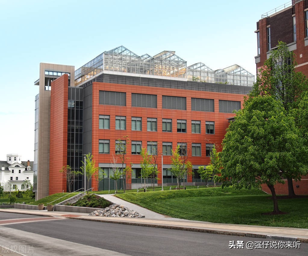 浙江省大学全面“开花”，新增11所硕士博士单位，4所学院将更名