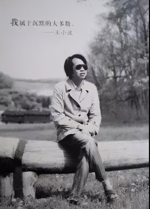 性描写太直白,小说没人敢出版,45岁英年身亡的王小波意外火了