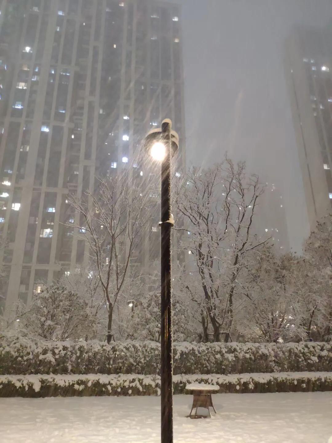 人群中有人说：看，那个女孩又来了，年年如此为了什么？？