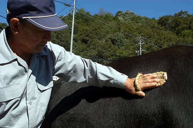 日本神户牛肉多少钱一斤，世界十大顶级神户牛肉介绍
