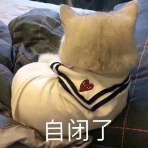 寒假在家正嗨呢,查到挂科了,整个人都不好了怎么办?