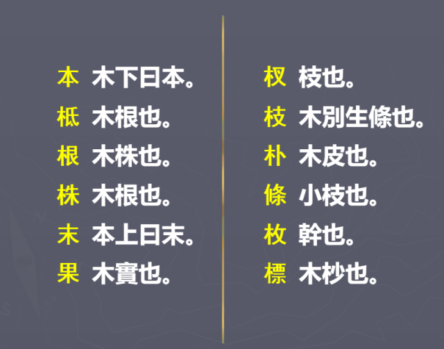 国学基础的治学功夫：如何训诂？