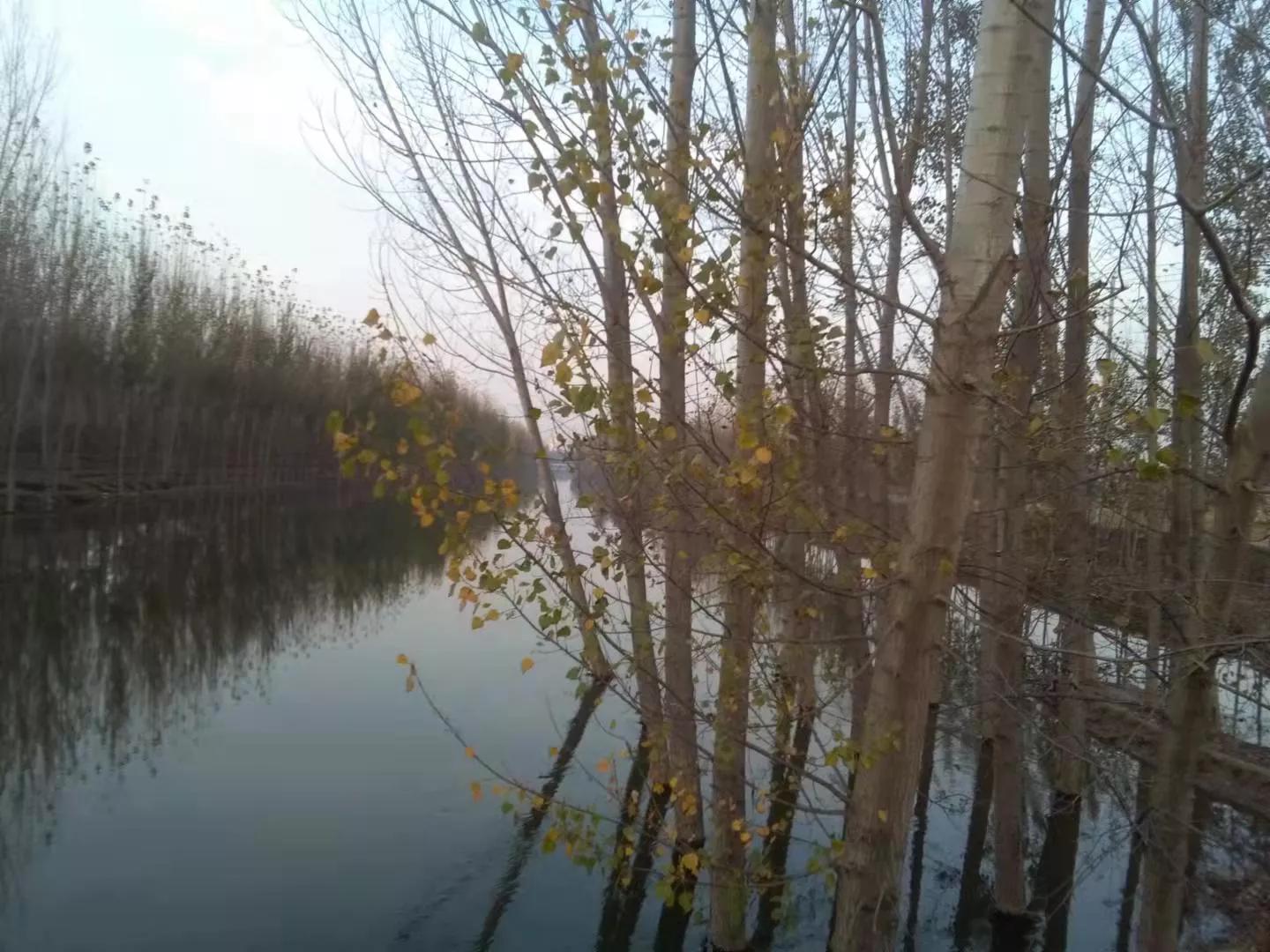 《原创文章》幸福就是不多想