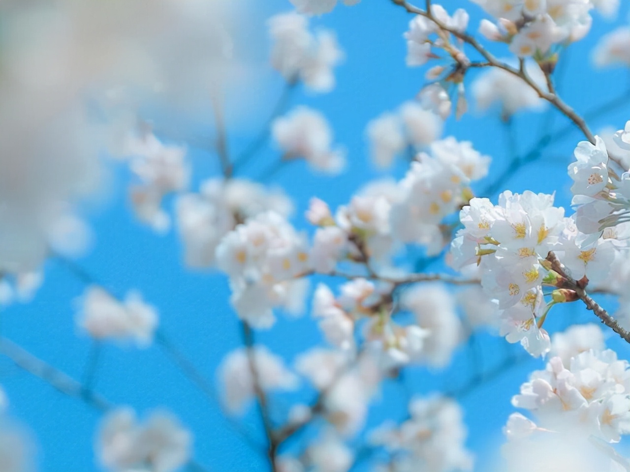 狮子座：细微之处见真情，他们的爱，隐藏在哪些细节里？