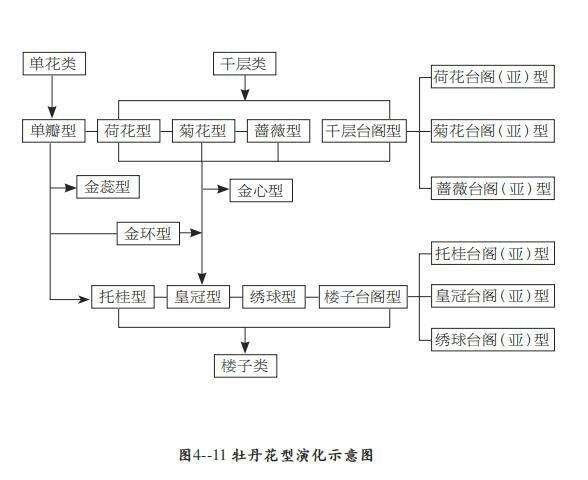 花开富贵唯牡丹，“花中藏花”的牡丹你见过吗？