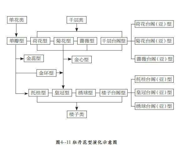 花开富贵唯牡丹，“花中藏花”的牡丹你见过吗？