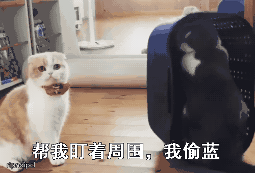 500_340gif 动态图 动图