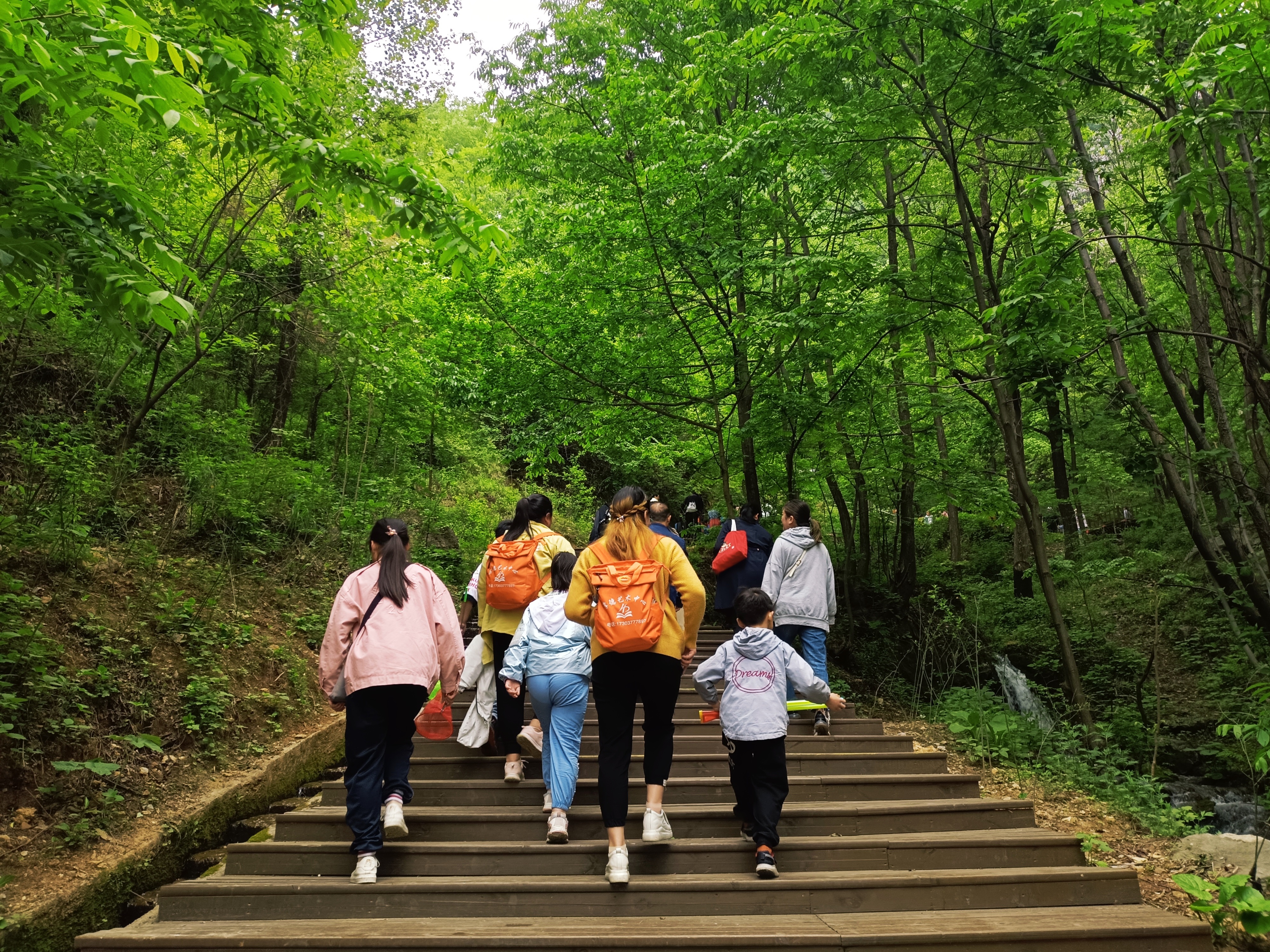 河南藏着一个避暑景区，门票不贵，住宿便宜，适合带孩子老人游玩