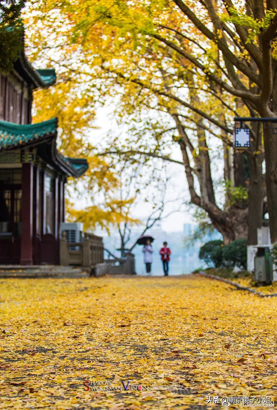 只管去跑,每個南京人的青春,都有一條北京東路