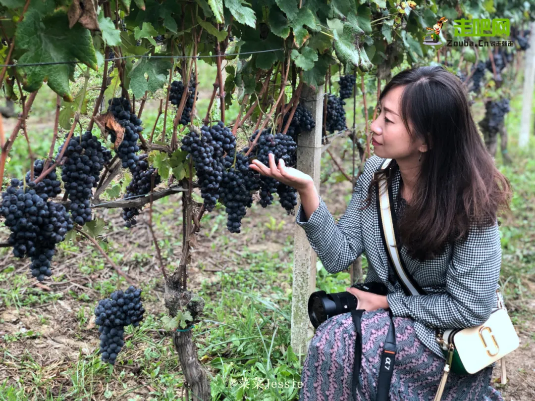 从顶级会计事务所到个人工作室，她把平凡的生活过成诗